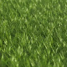 High-resolution 3D grass model optimized for rendering in Blender, suitable for large-scale scenes.