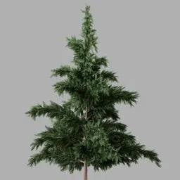 Realistic 3D Cypress tree model with textured foliage, crafted for Blender Cycles, in centimeter scale.