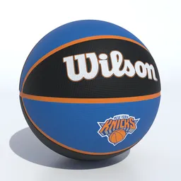 Wilson New York Knick Basketball