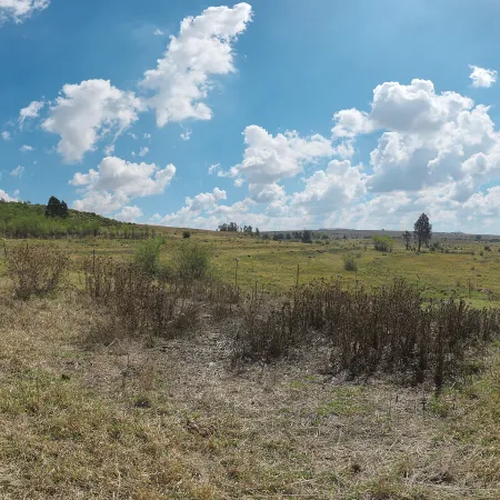 Rosendal Plains 1