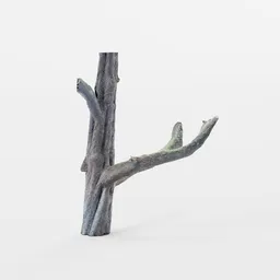 Realistic 3D scanned old tree model for Blender with detailed bark texture and natural shape.