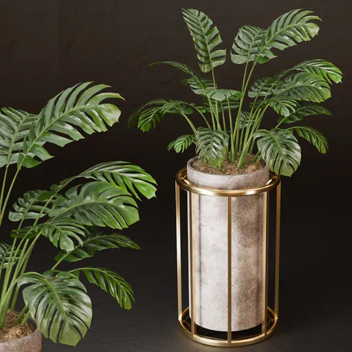 Golden monstera elegance pot