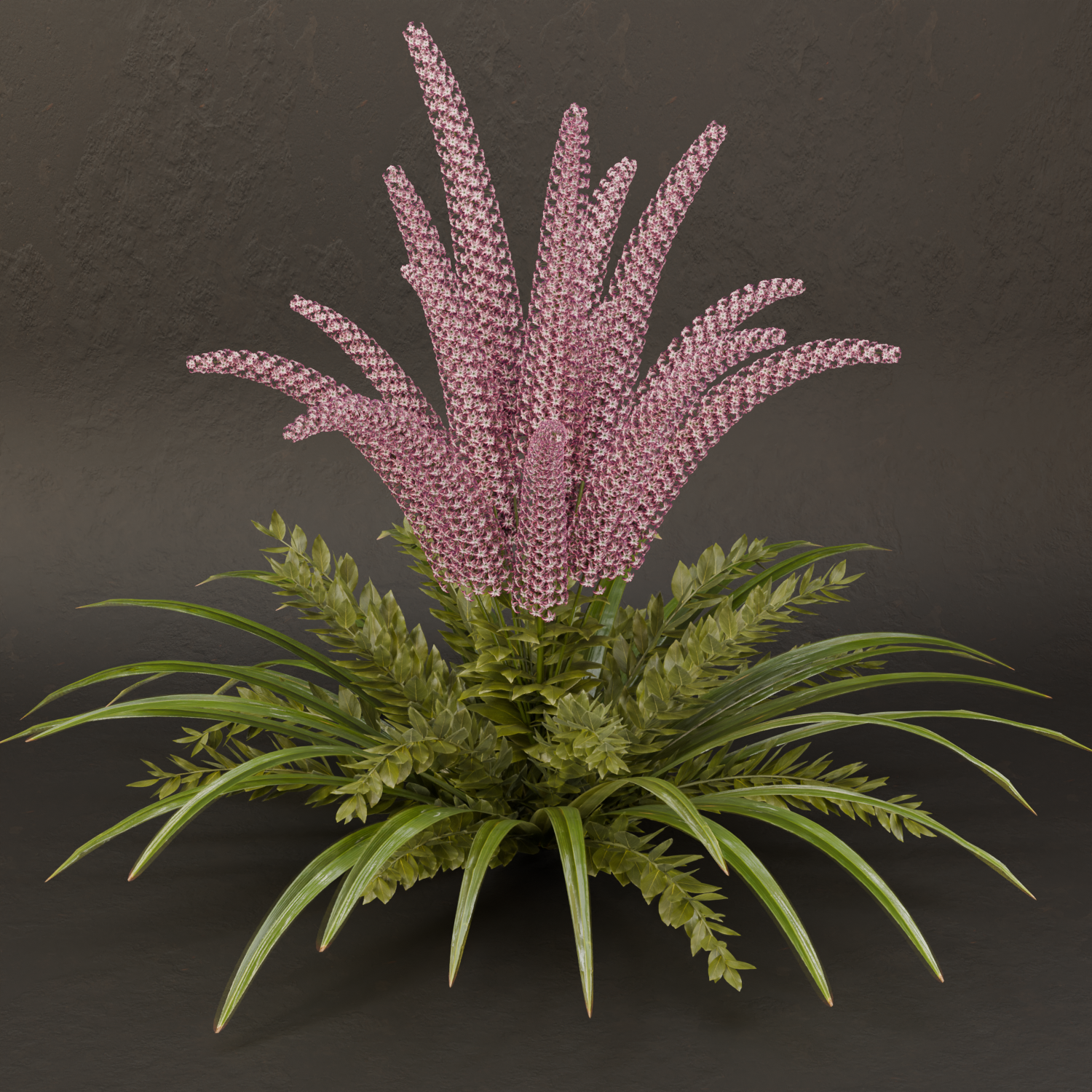 Plants models | BlenderKit