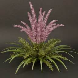 SJ-Amethyst Dream Garden Plant.