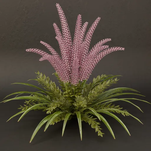 SJ-Amethyst Dream Garden Plant.