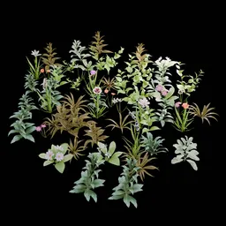 Realistic Outdoor Flowers