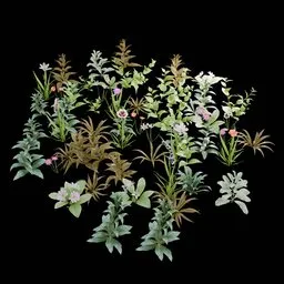 Realistic Outdoor Flowers