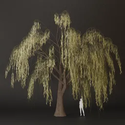 SJ-Soulful Shade Drop