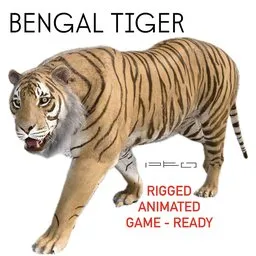 Realistic Bengal Tiger