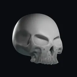 Skull Base Mesh for Anatomy Sculpting