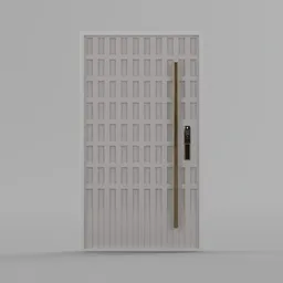 Entrance Main Door with lock