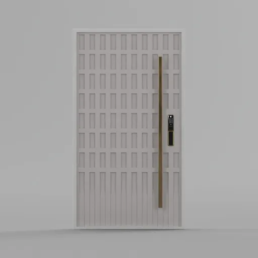 Entrance Main Door with lock