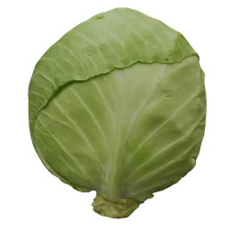 Detailed cabbage 3D model showcasing realistic textures and shadows, perfect for Blender 3D projects.