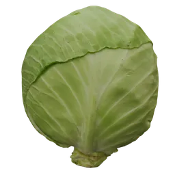 Cabbage