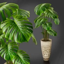 Historical Vase
