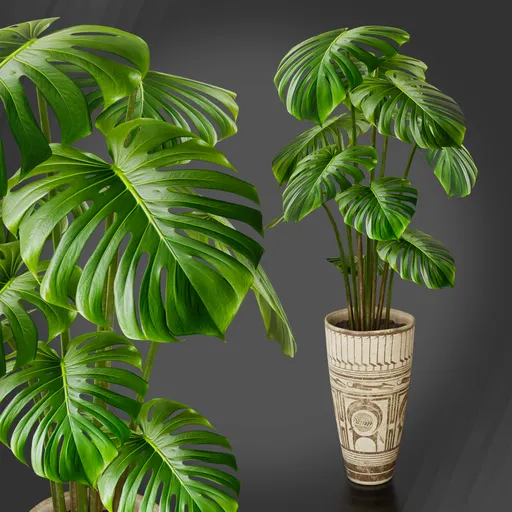 Historical Vase