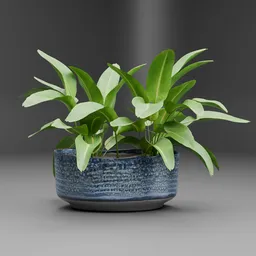 Potted Tropical Plant