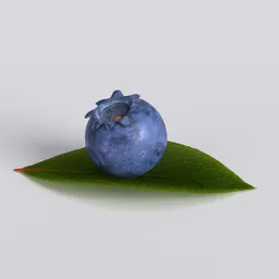 "Handmade high-polynomial blueberry with leaf 3D model for Blender 3D, featuring realistic details and decimated modification. Perfect for fruit and vegetable category renders. Created using Autodesk 3D rendering and Blueshift Render techniques."