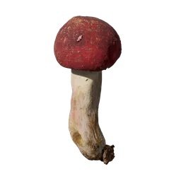 Mushroom