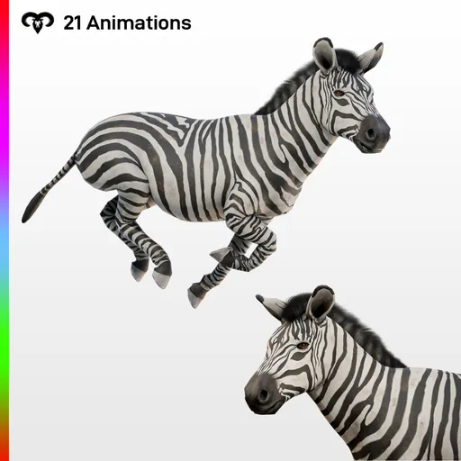 Female Zebra Animated