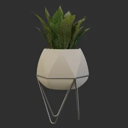 Faceted Modern Plant