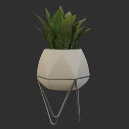 Faceted Modern Plant