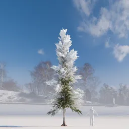 Pine tree with snow