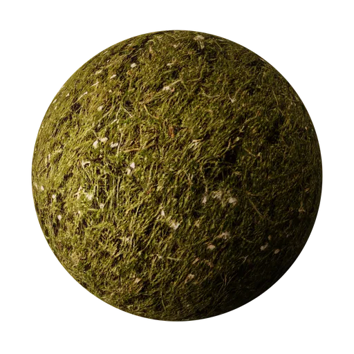 Grass 03