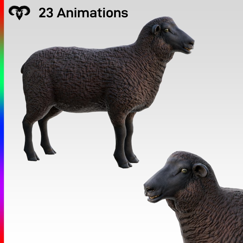 Female Sheep Animated | Mammals models | Blendkit