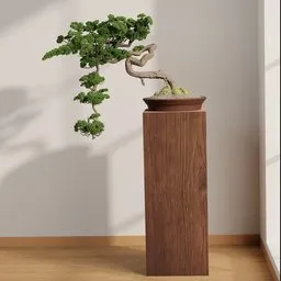 Graceful Cascade Bonsai
