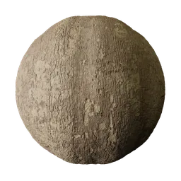 Golden Brown Ashoka Bark