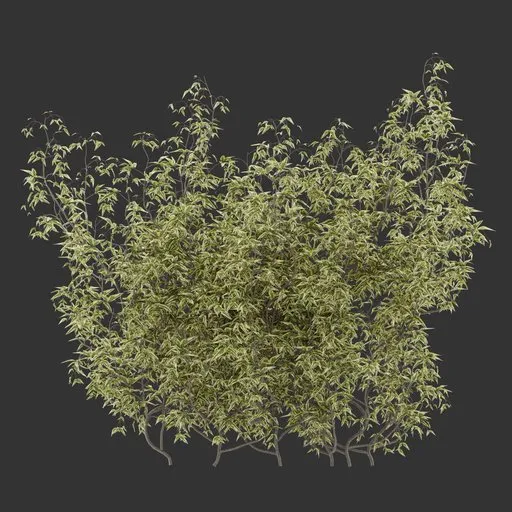 Simple Bush Plant Collection