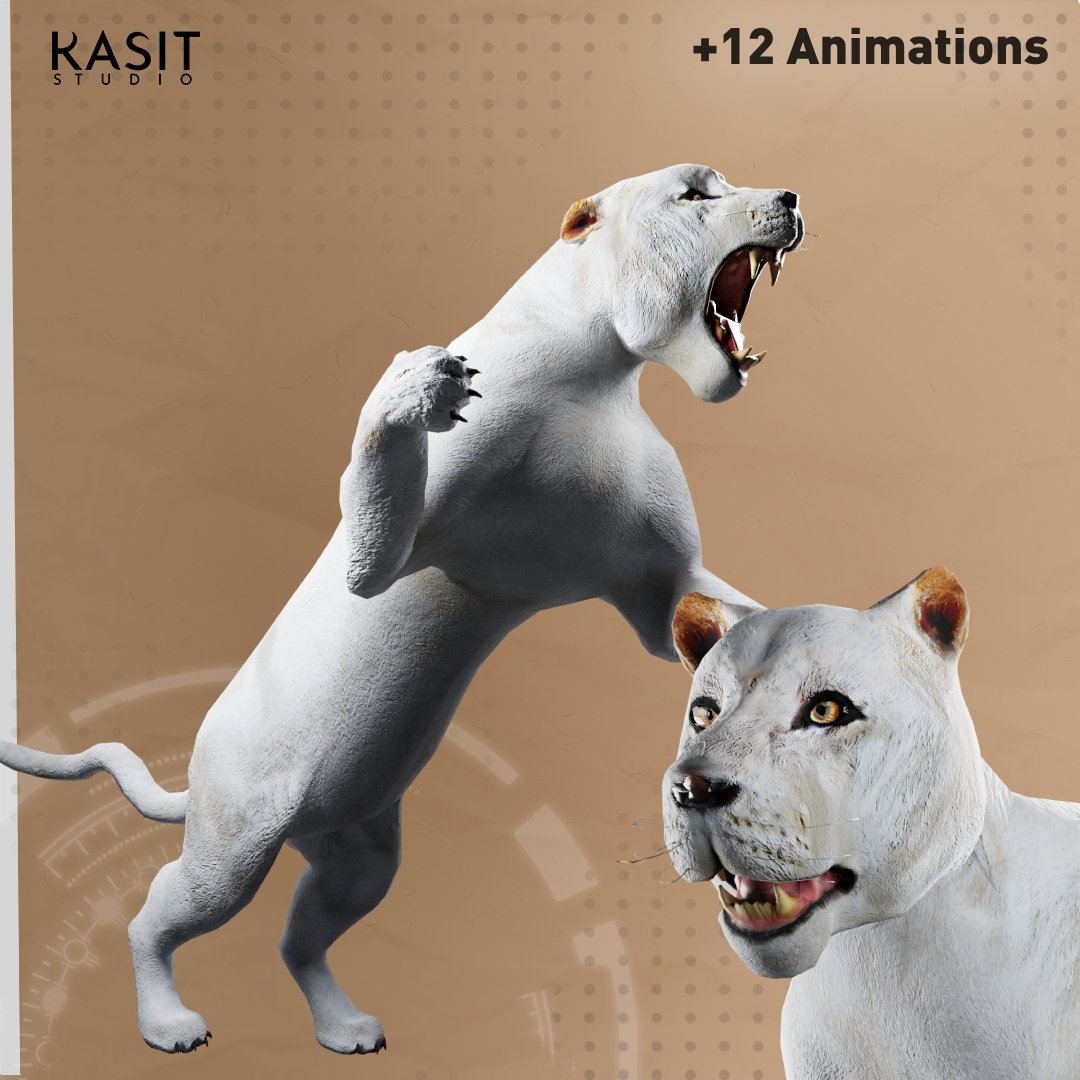 3D It Animal high quality Creator Molding Studio