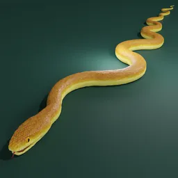 "Snake yellow viper 3D model for Blender 3D: A realistic reptile with a yellow aura, albino white pale skin, and fully rigged tongue and teeth. Procedurally textured and suitable for animations, this snake is perfect for creating vibrant and visually stunning 3D scenes."