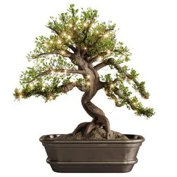 Christmas bonsai B