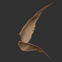 Mutant Creature Wing