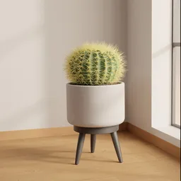 Golden Barrel Cactus