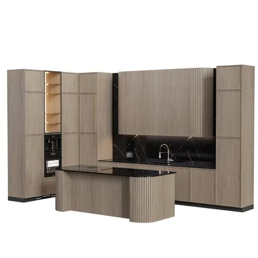Kitchen Modern