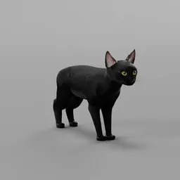 "3D model of a black cat with particle fur, made using Blender 3D software. This mammal model is highly detailed and suitable for animation, with a dipstick tail and transparent labs. Not yet game ready."