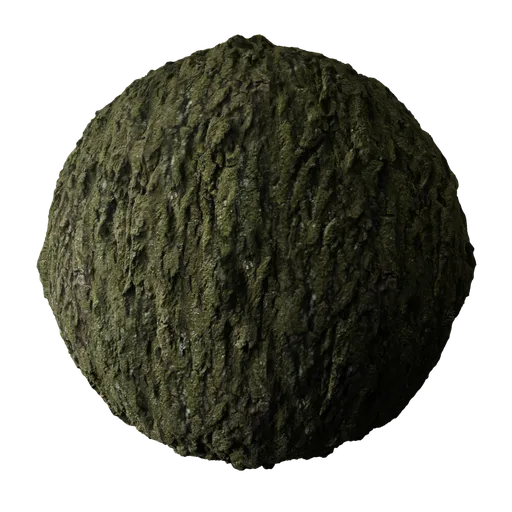 Highly detailed tree bark PBR texture for realistic rendering in Blender 3D and other 3D applications.