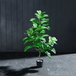 "Artificial Fig Tree 3D model for Blender 3D, featuring full growth and green hues. Link copy objects to modify the plant and put in a flowerpot of your choice. Based on a real product, perfect for any 3D scene."