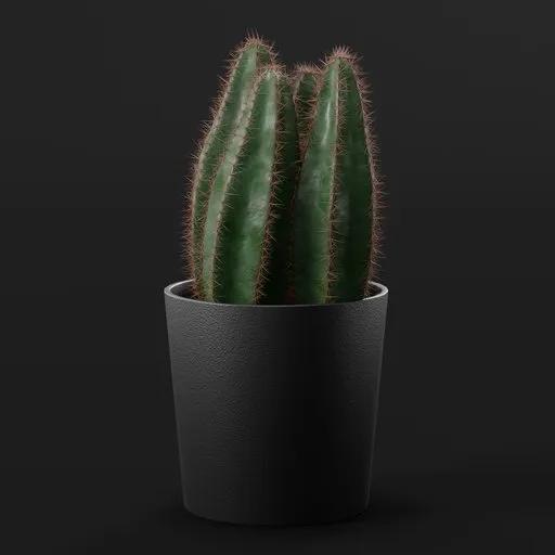 Cactus Generator (Geometry Nodes)