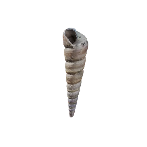 River Shell