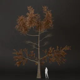SJ-Chill Rise Pine Tree