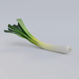 Leek