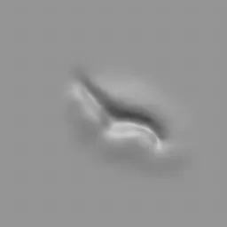 ER_Muscle brush 108 imprint for 3D modeling of male back muscles in Blender.