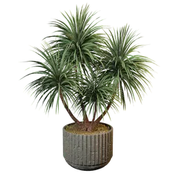 Realistic palm plant 3D model with textured leaves and stylized pot, perfect for Blender interior renderings.