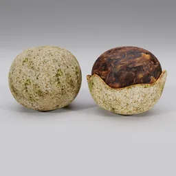 Realistic 3D model of a split wood apple, showing detailed textures and interior, compatible with Blender rendering.