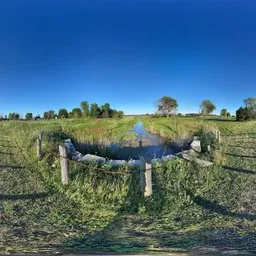 Bluesky River Grass Green