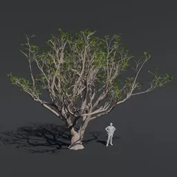 High-quality 3D red coral tree model with detailed PBR textures for Blender rendering.